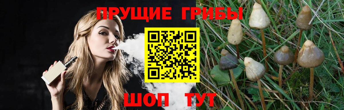 Галлюциногенные грибы MAGIC MUSHROOMS Тверь